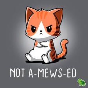 TeeTurtle Unisex Gray NOT A-MEWS-ED Orange Cat Short Sleeve Tee Shirt, L